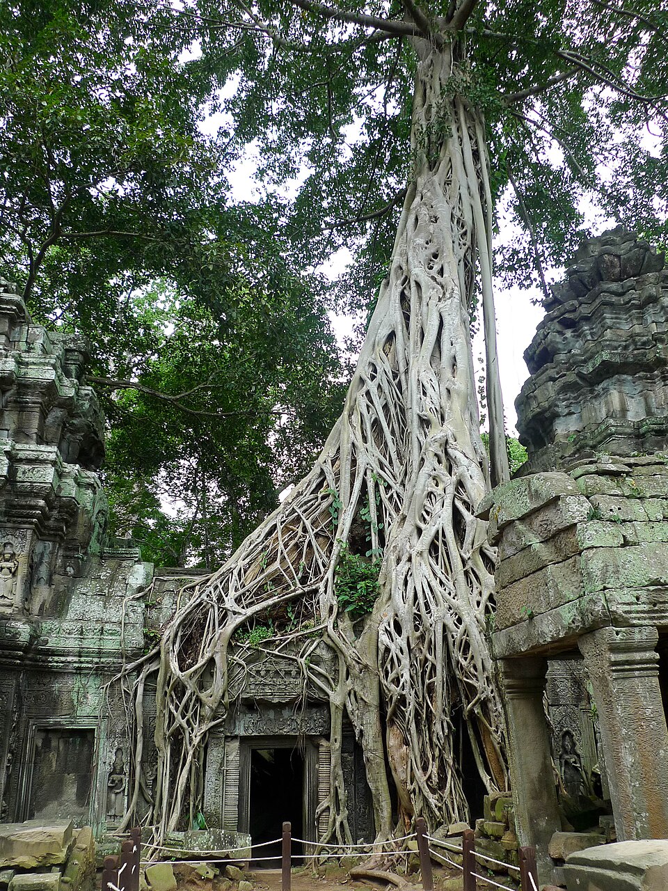 Angkor